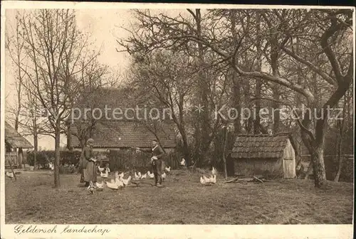 Arnhem Geldersch landschap Kat. Arnhem