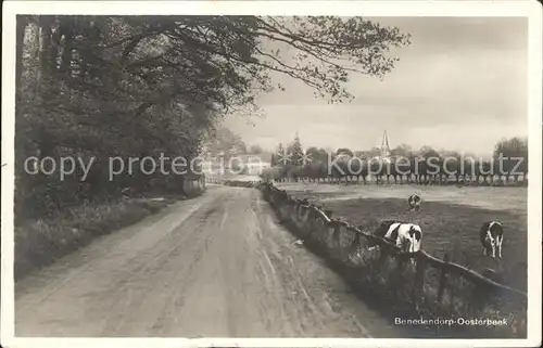 Oosterbeek Benedendorp Kuehe Kat. Oosterbeek