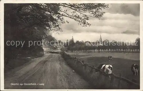 Oosterbeek Laag Kuehe Kat. Oosterbeek