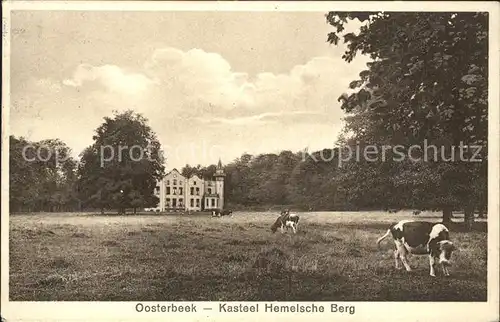 Oosterbeek Kasteel Hemelsche Berg Kuehe Kat. Oosterbeek