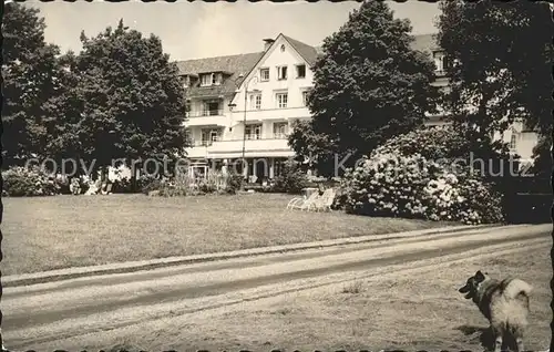 Arnhem Hotel De Bilderberg Hund Kat. Arnhem