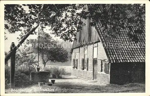 Winterswijk Boerderijtje Buskersbos Kat. Winterswijk