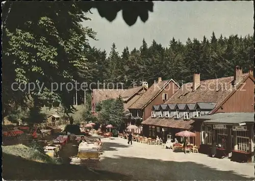 Bad Harzburg Molkenhaus  Kat. Bad Harzburg