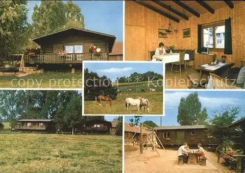 Mossautal Ferienhaeuser Baerenhof Pferde Hof  Kat. Mossautal