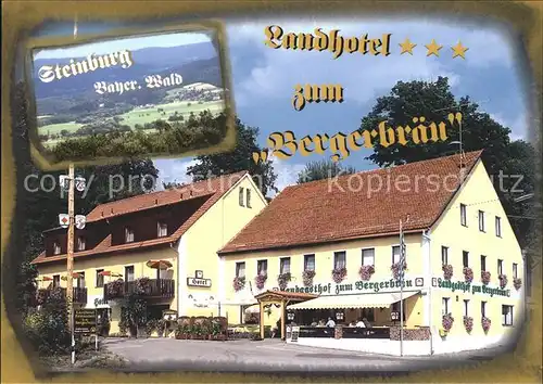 Steinburg Niederbayern Landhotel Bergerbraeu Kat. Hunderdorf