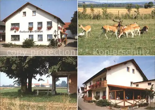 Grossnottersdorf Gasthof zum Hirsch Hirsche Teilansicht Kat. Titting