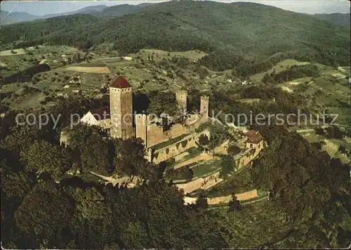 Heppenheim Bergstrasse Greifvogelwarte Falknerei Starkenburg Fliegeraufnahme Kat. Heppenheim (Bergstrasse)