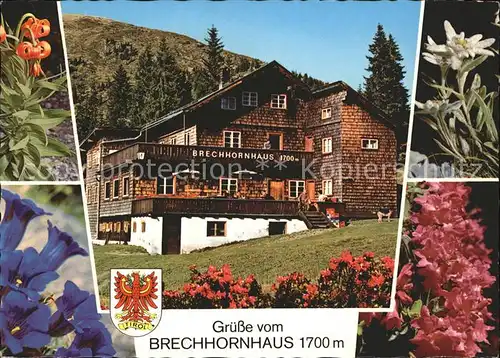 Kirchberg Tirol Brechhornhaus Alpenblumen Kat. Kirchberg in Tirol