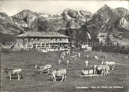 Unterwasser Toggenburg Berggasthaus Iltios mit Saentis und Schafberg Kat. Unterwasser