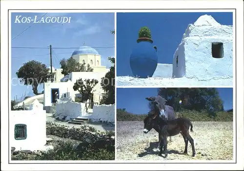 Kos Cos Lagoudi Eselchen Vasa Kirche Kat. Kos