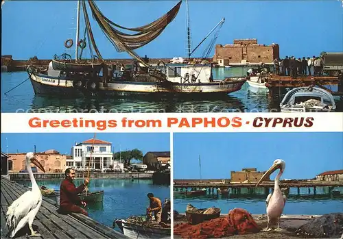 Paphos Pelikan Hafen Segelboot Kat. Paphos Cyprus