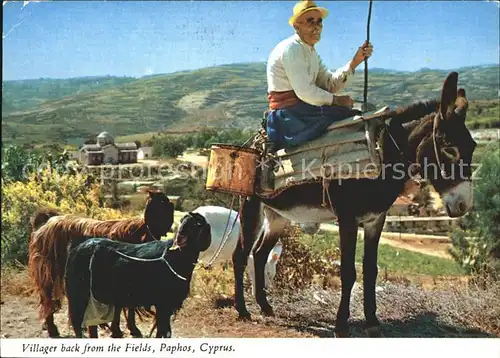 Paphos Villager back from the Fields  Kat. Paphos Cyprus
