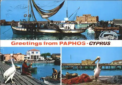 Paphos Boot Pelikan Fischer Kat. Paphos Cyprus