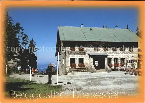 Neureichenau Berggasthof Dreisessel Kat. Neureichenau