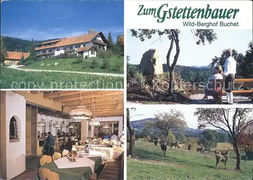 Bernried Niederbayern Wild Berghof Buchet Zum Gstettenbauer  Kat. Bernried