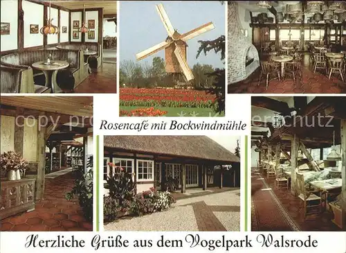 Walsrode Lueneburger Heide Rosencafe mit Bockwindmuehle Vogelpark Windmuehle Kat. Walsrode
