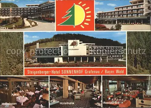 Grafenau Niederbayern Steigenberger Hotel Sonnenhof Hobelspan Hotelhalle Restaurant Kat. Grafenau