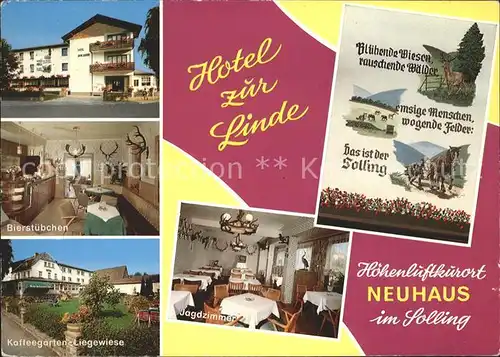 Neuhaus Solling Hotel zur Linde Bierstuebchen Kaffeegarten Jagdzimmer Kat. Holzminden