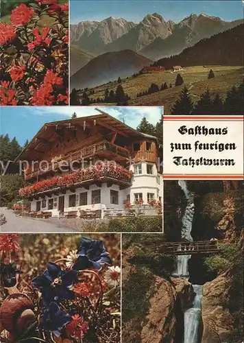 Bayrischzell Gasthaus zum feurigen Tatzelwurm Panorama Wasserfall Bergblumen Kat. Bayrischzell