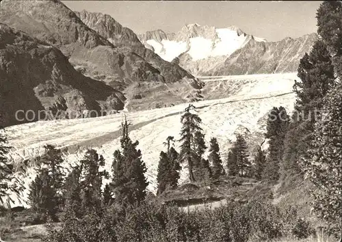 Aletschgletscher Blaukreuzjugendwerk Kat. Aletsch Grosser