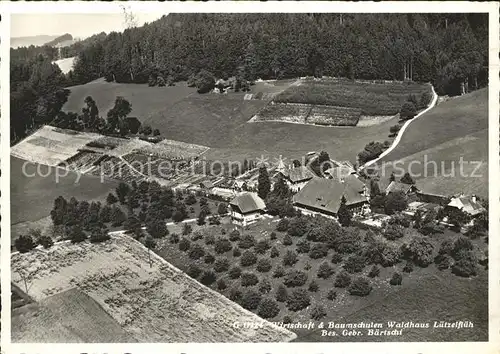 Luetzelflueh Goldbach Wirtschaft Baumschulen Waldhaus  Kat. Luetzelflueh Goldbach