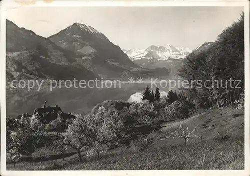 Sarnen Sarnersee Friedenfels Kuranstalt Kat. Sarnen