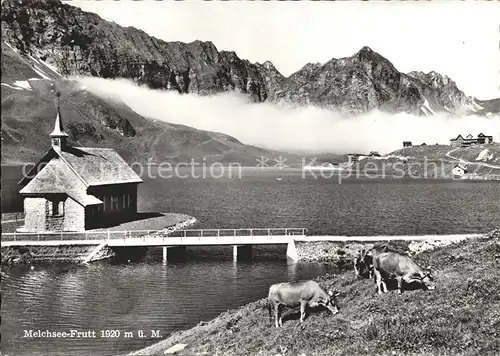 Melchsee Frutt Kuehe Kapelle Kat. Melchsee Frutt