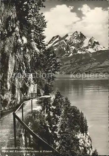 Buergenstock Felsenweg Vierwaldstaedtersee Pilatus Kat. Buergenstock