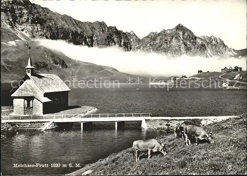 Melchsee Frutt Kuehe Kapelle Kat. Melchsee Frutt