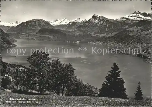 Buergenstock Honegg Vierwaldstaettersee Kat. Buergenstock