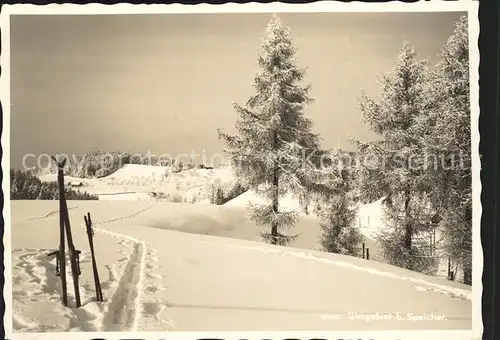 Speicher AR Skigebiet / Speicher /Bz. Mittelland