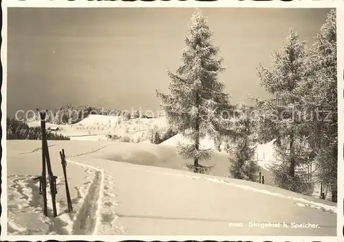 Speicher AR Skigebiet / Speicher /Bz. Mittelland