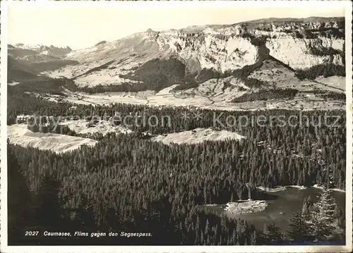Flims Waldhaus Caumasee Segnerspass Kat. Flims Waldhaus