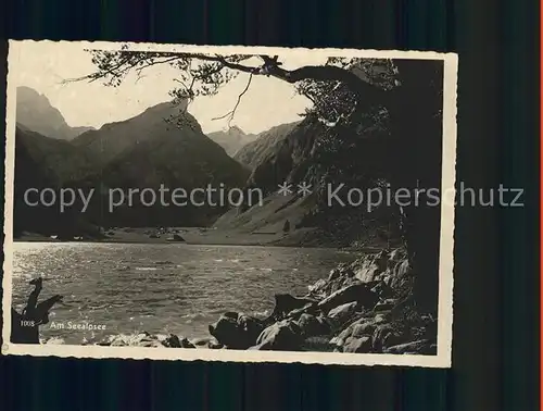 Seealpsee Seepanorama Kat. Schwende