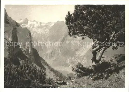 Seealpsee von der Alp Mans mit Saentis Kat. Schwende