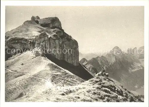 Hoher Kasten mit Staubern Kat. Appenzeller Alpen