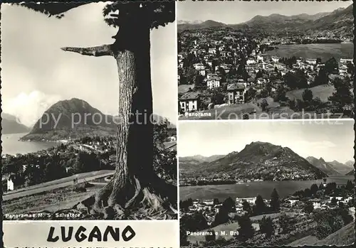 Lugano TI Panorama Monte San Salvatore e Monte Bre Kat. Lugano