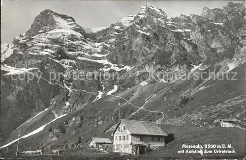 Musenalp Touristenhaus Musenalp mit Aufstieg zum Urirotstock Kat. Musenalp