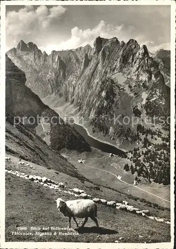 Faehlensee Blick auf Bollenwies Altmann Hundstein Schafe Kat. Altmann