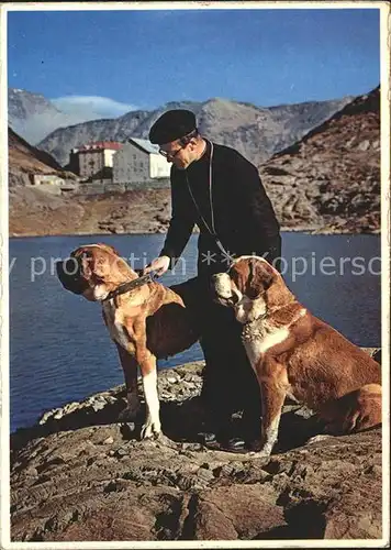 Grand St Bernard Religieux et l`Hospice Pastor und Bernardiner Hunden Kat. Bernard Grand Saint