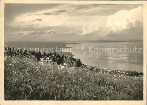 Wienacht Tobel Bodensee von der Landegg gesehen Kat. Wienacht Tobel