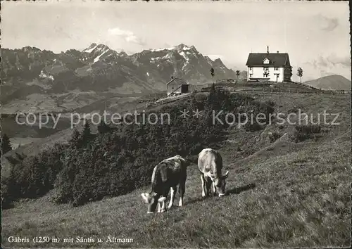 Gaebris mit Saentis Altmann Kuehe Kat. Gaebris