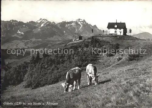 Gaebris mit Saentis Altmann Kuehe Kat. Gaebris