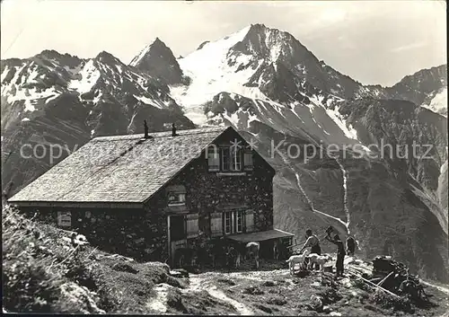 Oberalpstock Windgaellenhuette Maenner Ziegen Kuehe Kat. Oberalpstock