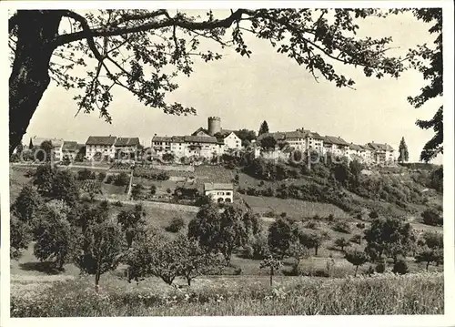 Regensberg Dielsdorf Gesamtansicht Kat. Regensberg