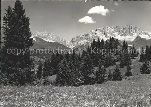 Schiers Stelserberg Blick vom Berghaus Mottis gegen Drusenfluh Raetikon Kat. Schiers