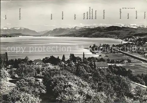 Au ZH Blick ueber Zuerichsee vom Landgasthof Halbinsel Au Alpenpanorama / Au ZH /Bz. Horgen