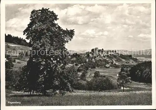 Regensberg Dielsdorf Panorama Einladung Erziehungsanstalt Kat. Regensberg