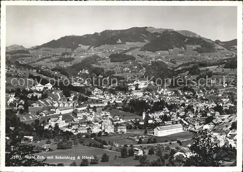 Wald ZH Gesamtansicht mit Scheidegg und Hoernli Kat. Wald ZH