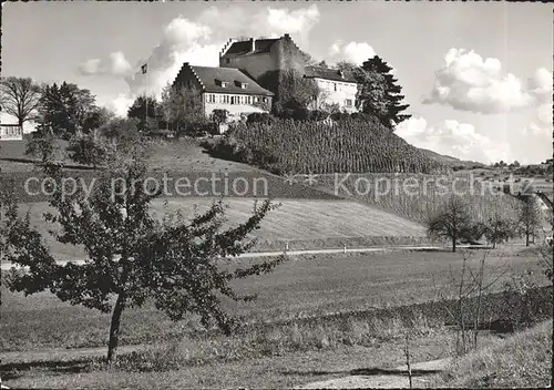 Waltalingen Schloss Schwandegg Kat. Waltalingen